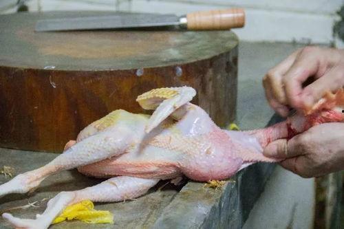 杀活鸡视频,杀活鸡视频揭露残酷真相