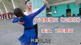 最新慢四步交谊舞视频,跟随最新视频领略经典交谊舞风采