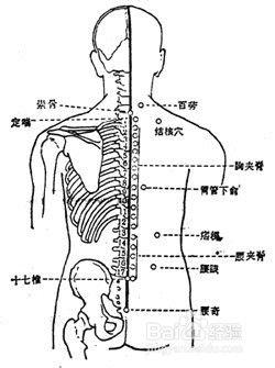 腰椎间盘突出针灸视频,视频详解与实操指南